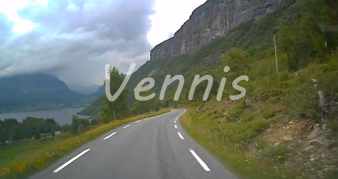 vennis