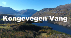 Kongevegen