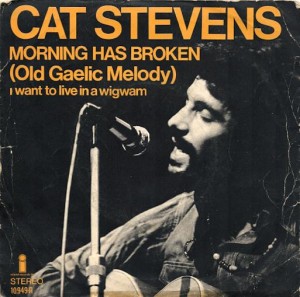 catstevens